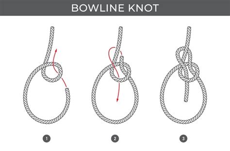 1,429 Bowline Knot Royalty-Free Images, Stock Photos & Pictures ...