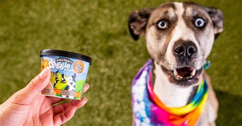 Dog Ice Cream — Ben & Jerry's Version, What It's Made of, and More