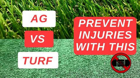 WHAT'S THE DIFFERENCE BETWEEN TURF AND ARTIFICIAL GRASS? | eduaspirant.com