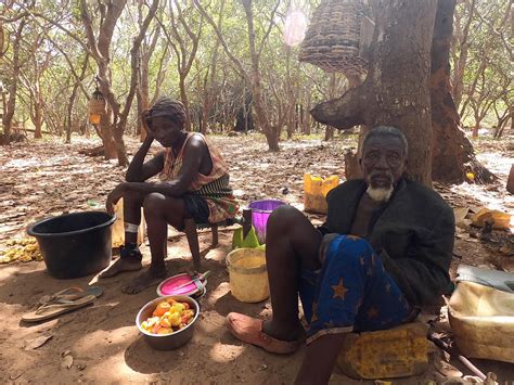 The paradox of cashew nut farming | by Cláudia Santos | FieldNotes | Medium