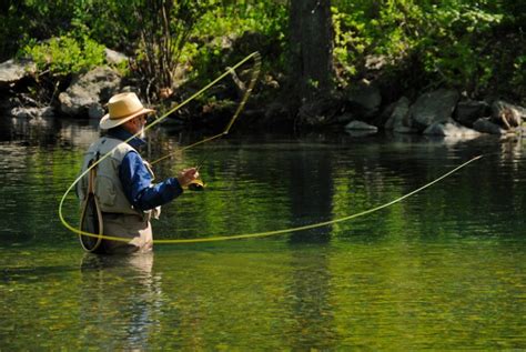 Fly Fishing Techniques