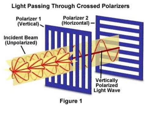 Polarization of electromagnetic waves [3]. | Download Scientific Diagram