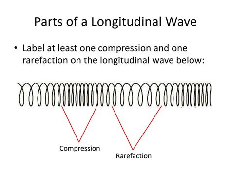 Diagram Of A Compression Wave