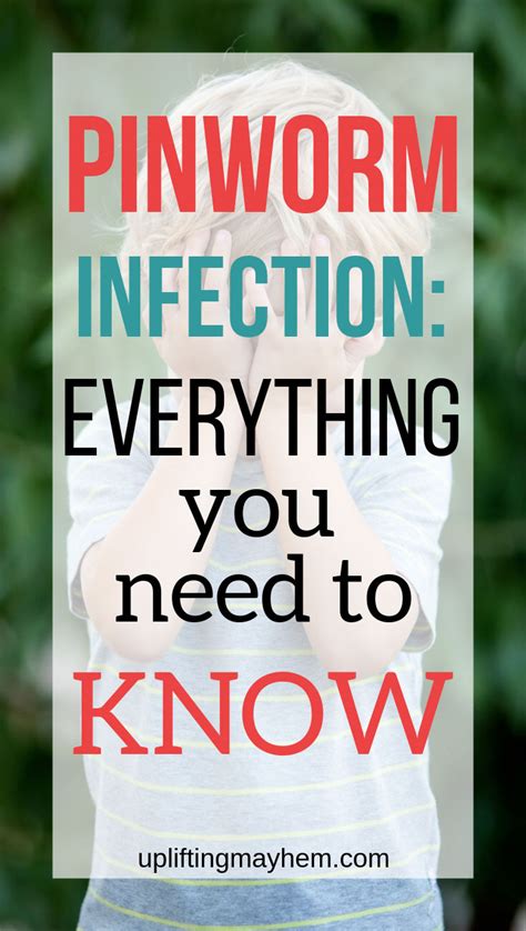 Pinworm Infection: Everything You Need To Know - Uplifting Mayhem