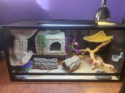 Reptile Habitats 4x2x2 (120 Gallon) PVC Bearded Dragon Enclosure ...