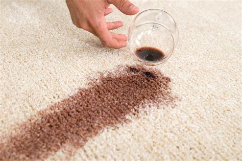 Easy suggestions for handling different carpet stains