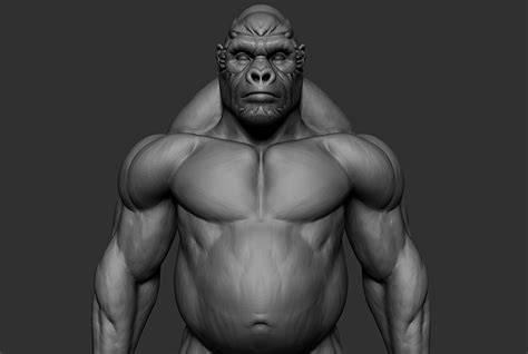 Gorilla Anatomy & Proportion - ZTOOL