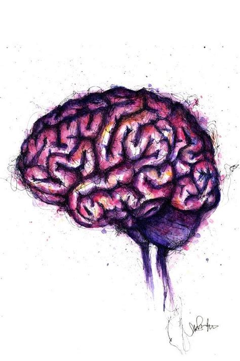 Cool brain art pink watercolor ink brain office art etsy – Artofit