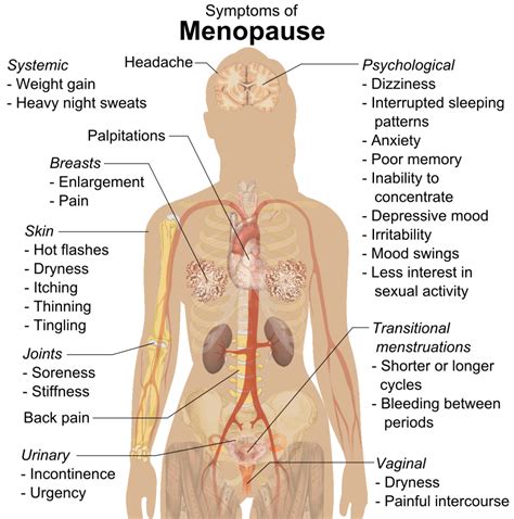 Menopause - almostadoctor