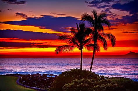 5120x2880px, 5K free download | Hawaiian Sunset, clouds, sky, palms ...