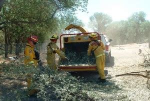 Fuel Reduction project – photo courtesy Cal Fire | Sierra News Online