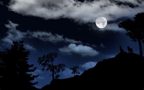 howling at the moon | Nature photography, Nature photos, Nature