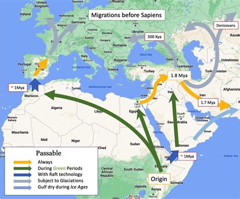 Homo Erectus Migration