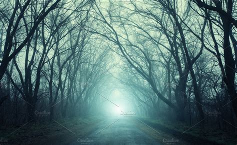 Scary mysterious forest in fog | High-Quality Nature Stock Photos ...