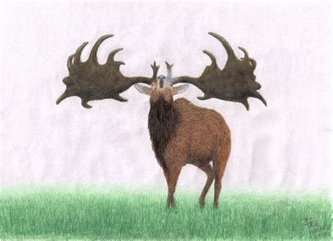 Megaloceros giganteus by bistahieversor on DeviantArt