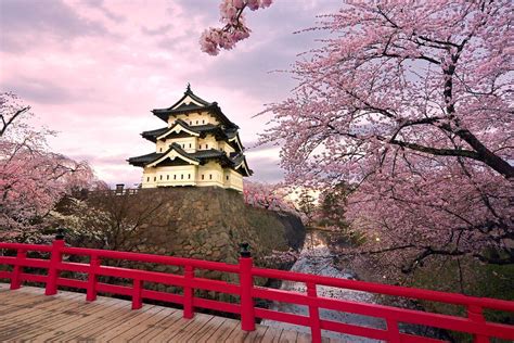 How to See Japan's Cherry Blossoms, and When to Plan Your Trip - Bloomberg