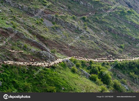 Lukomir Bosnia Herzegovina Sunny Summer Afternoon Village Lukomir ...