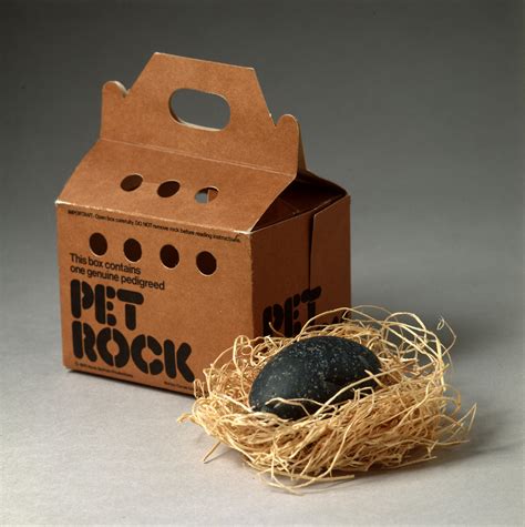 The Pet Rock Captured a Moment and Made Its Creator a Millionaire - ABC ...