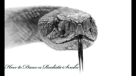 Realistic Snake Drawing Images How to draw a realistic snake snake ...