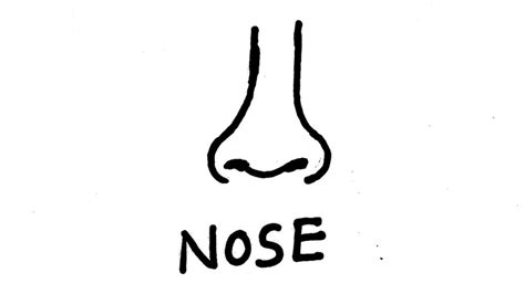 Nose drawing for kids || nose drawing simple - YouTube