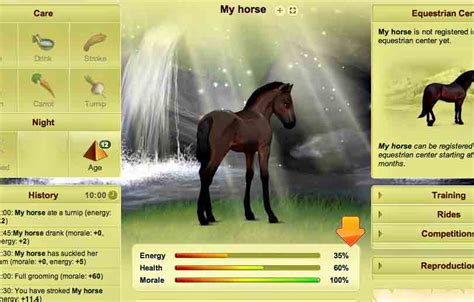 Howrse - Boring Online Horse Breeding Game for PC & MacHorse Games