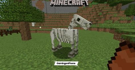 Minecraft Guide: Tips to Tame Skeleton Horse in the game