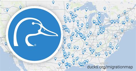 Ducks Org Migration Map | Map Of The World