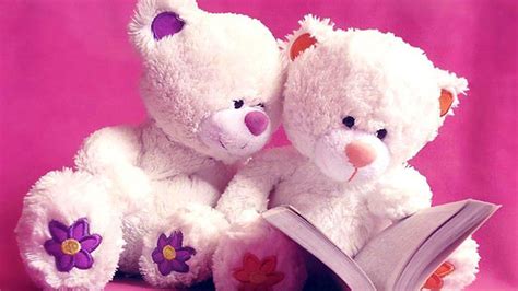 Teddy Bears With Book In Pink Background HD Teddy Bear Wallpapers | HD ...