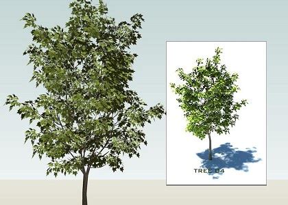 Free 3D Models - VEGETATION - SKETCHUP 3D TREES collection 1 - by ...