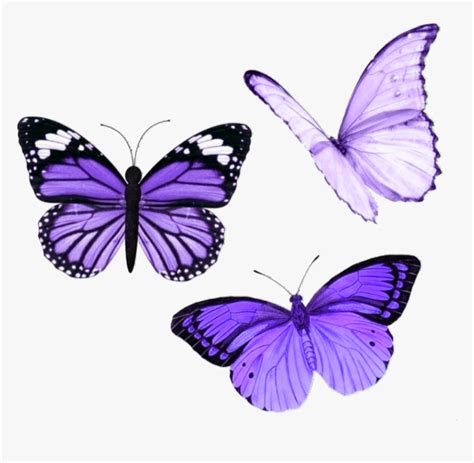 #butterfly #butterflies #purple #aesthetic #tumblr - Purple Aesthetic ...