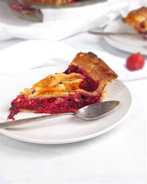 Blackberry Raspberry Pie with Pie Crust — Stripes & Willows