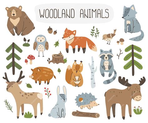 Premium Vector | Set of cute forest animals and plants.