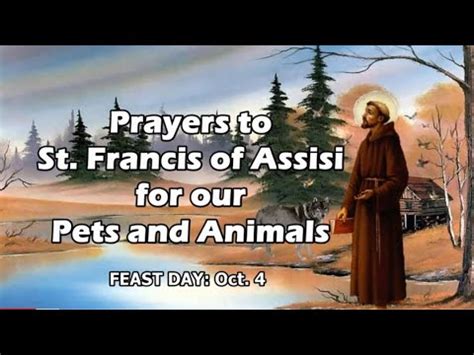 Prayers to St. Francis of Assisi for our Pets and Animals | Feast Day ...