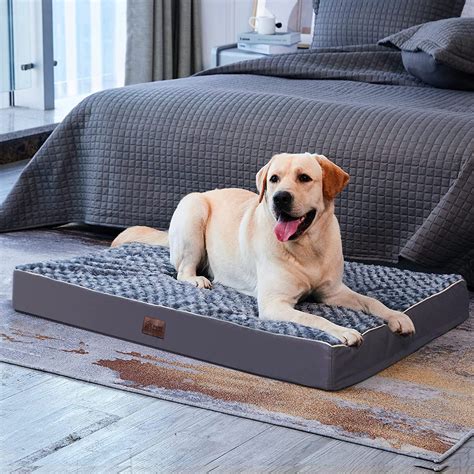 Large Orthopedic Dog Bed for Medium, Large and Extra Large Dogs, Egg ...