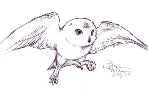 hedwig by blondboy100886 on DeviantArt