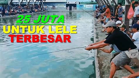 Lomba Mancing Ikan Lele Terbesar Full Master - YouTube