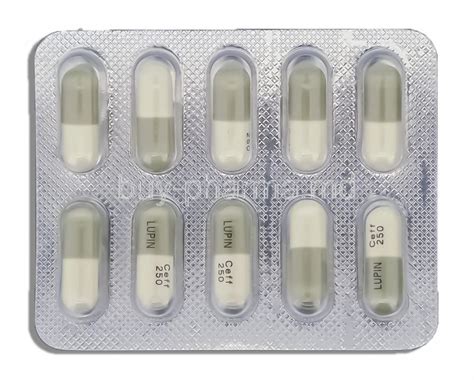 Buy Cephalexin ( Generic Keflex ) Online - buy-pharma.md