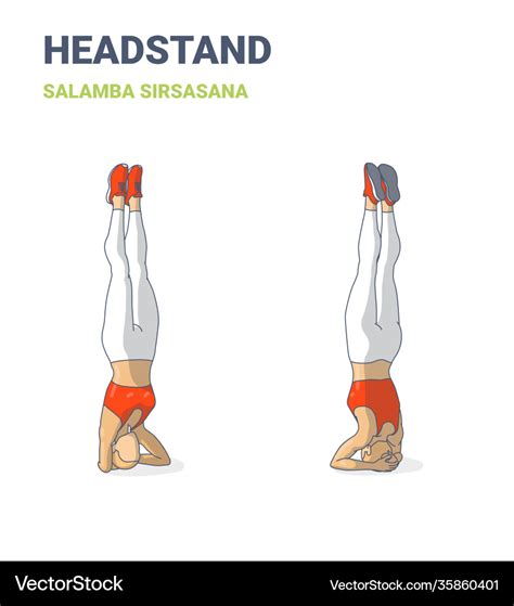 Headstand woman home workout exercise guidance Vector Image