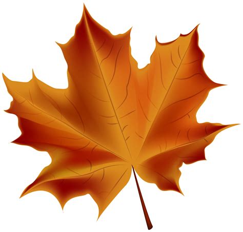 Beautiful Red Autumn Leaf Transparent PNG Clip Art Image | Gallery ...