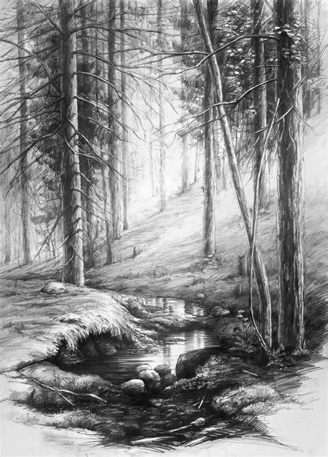 wnętrze lasu | zoom | digart.pl Nature Sketches Pencil, Tree Drawings ...