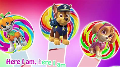 Paw Patrol lollipop Finger Family | Nursery Rhymes For Children - YouTube