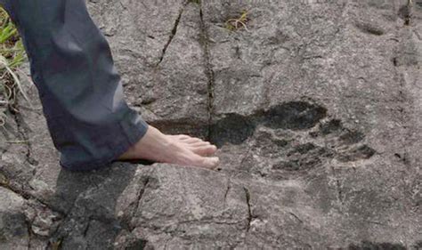 Is this footprint proof giants roamed Earth? Human-like marks ...