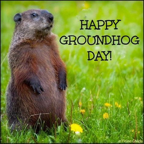 Happy Groundhog Day Image Quote Pictures, Photos, and Images for ...