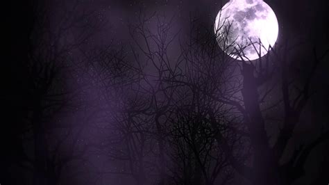 Mystical Animation Halloween Background With Stock Motion Graphics SBV ...