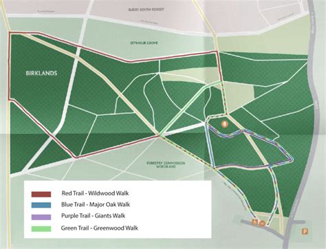 Sherwood Forest in England - maps and trails + photos