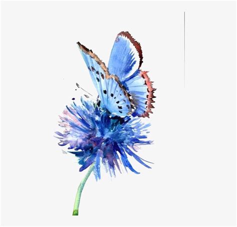 Download Butterfly Painting Blue Flower Drawing - Watercolor Art ...