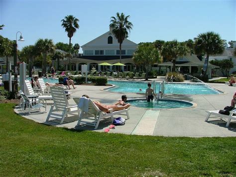 Crystal River manatee tours, where to stay and more - cleveland.com