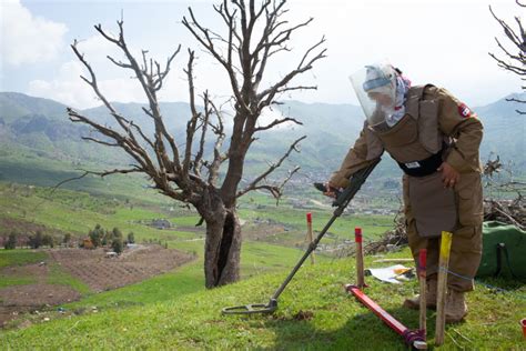 Demining: women make their mark | FSD.CH