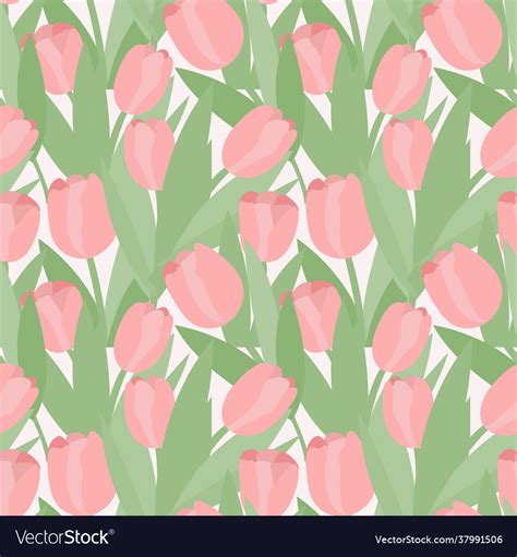 Tulips Free Vector Graphics | Everypixel