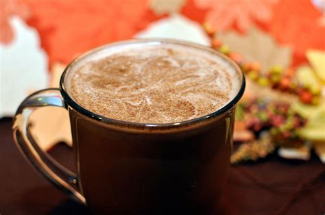 Cinnamon Spiced Mocha Latte Recipe - Rockin Mama™